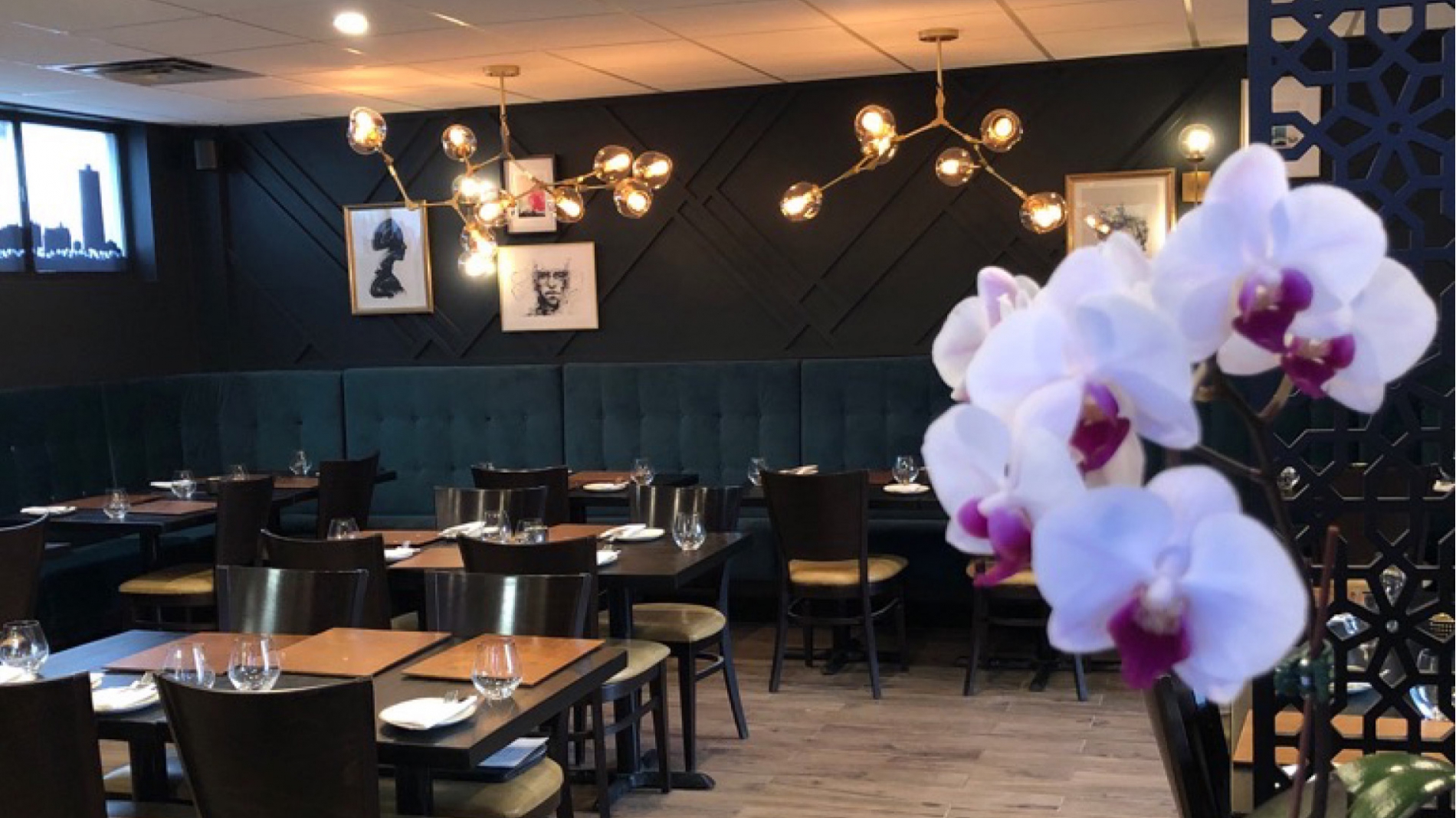 Ayla's Social Kitchen restaurant